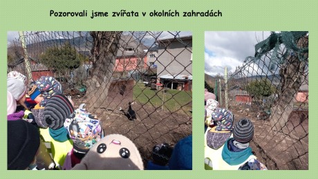 Snímek12