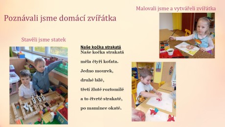 Snímek7