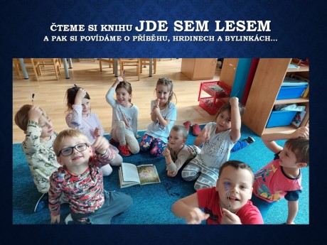 Snímek18