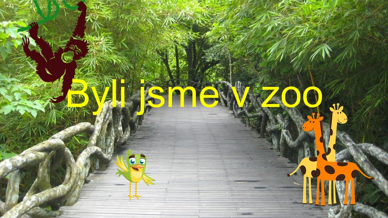 zoo (3)