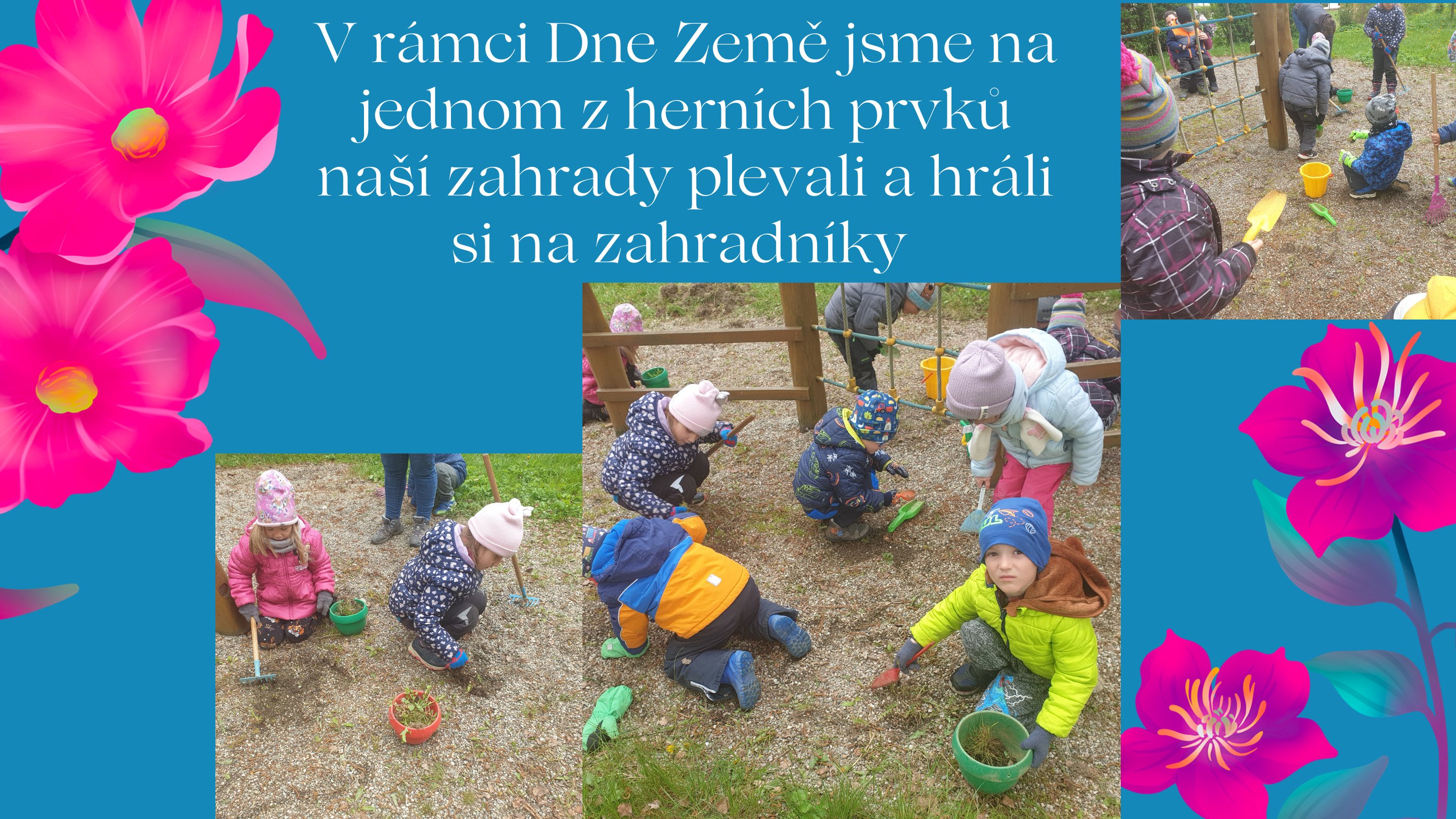 2 (11)