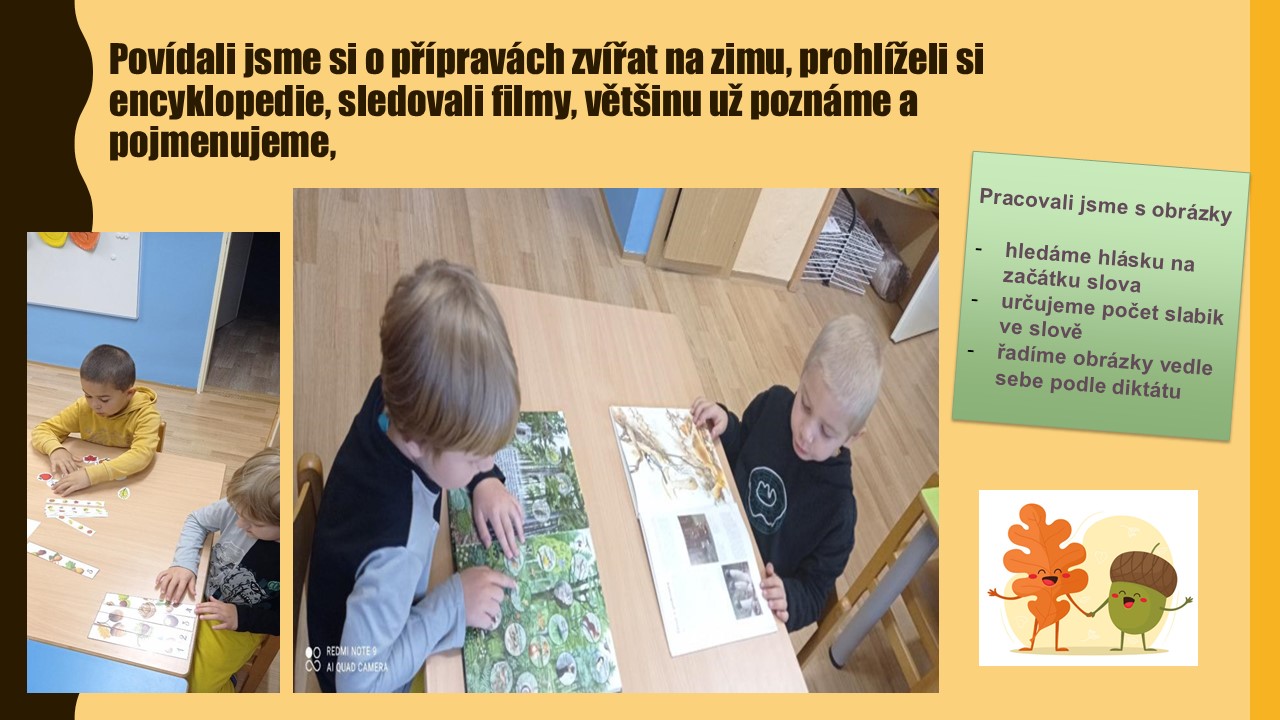 Snímek3