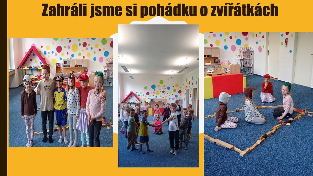 Snímek10