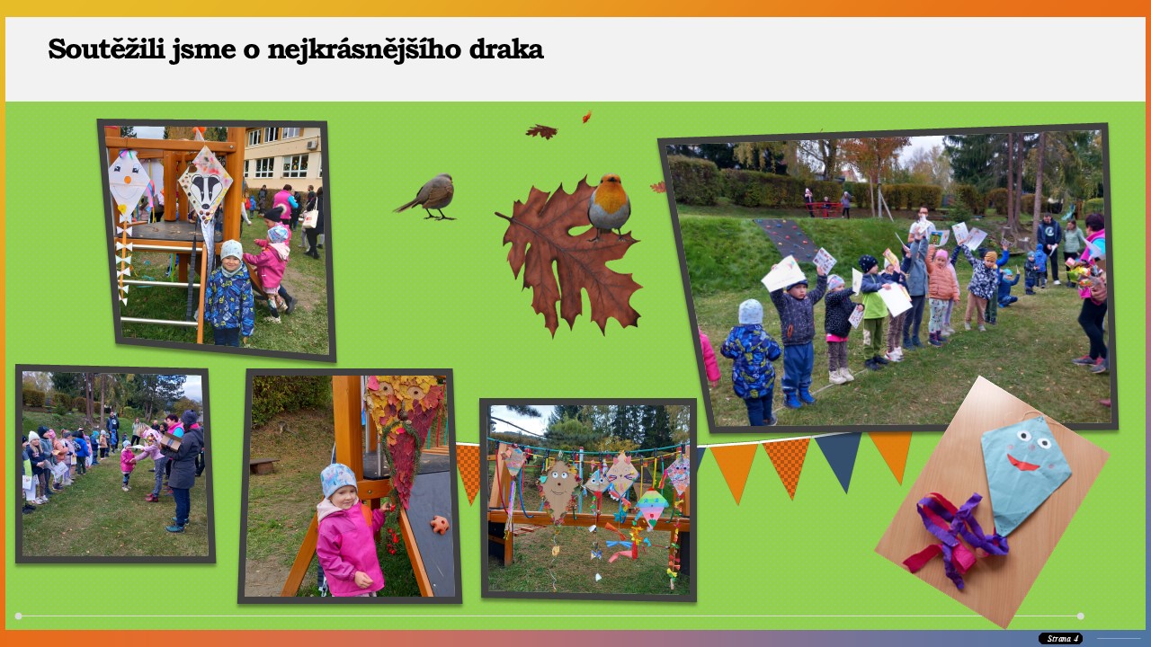 Snímek4