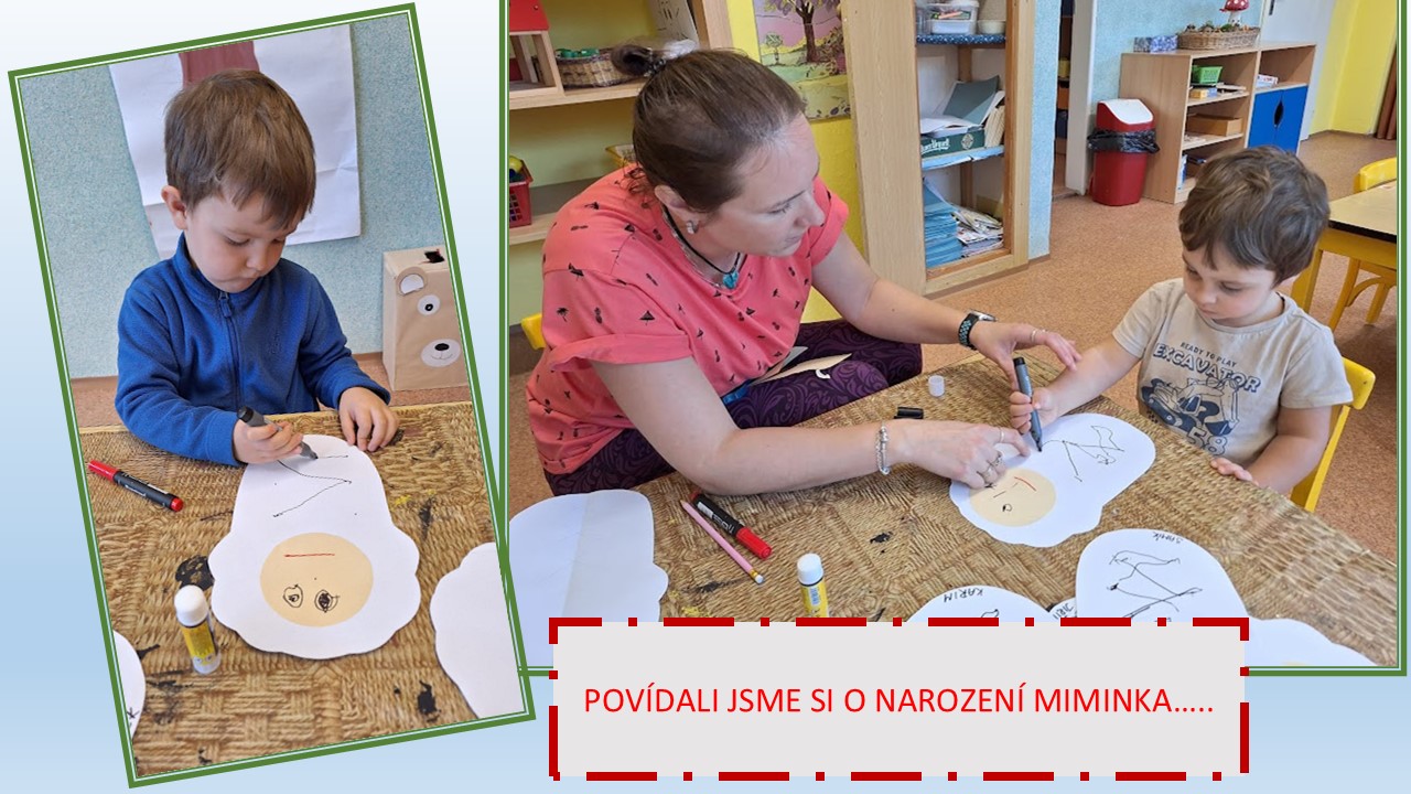 Snímek5