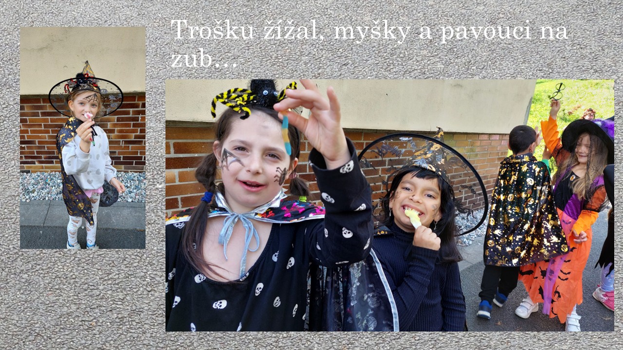 Snímek4