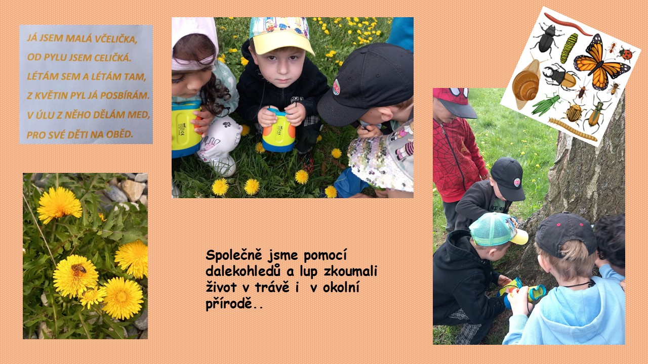 Snímek14