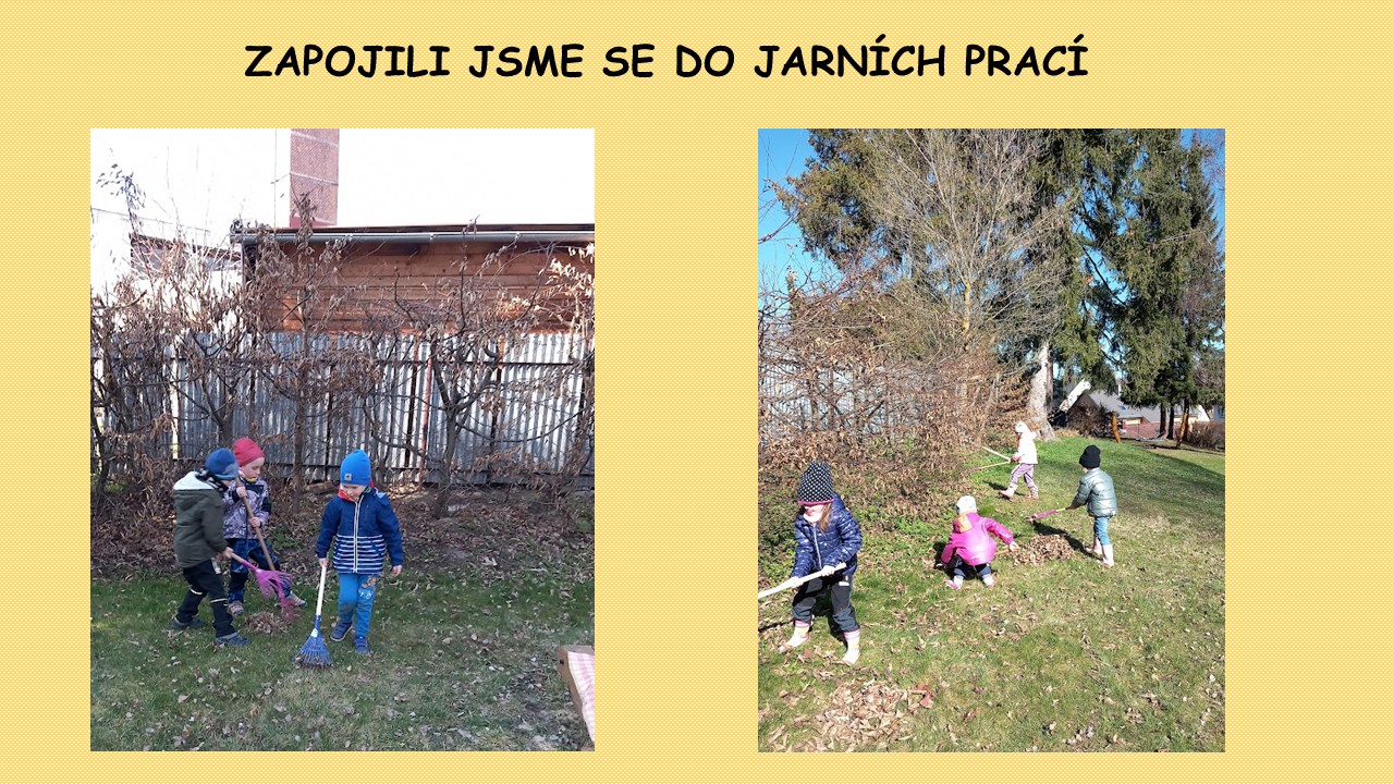 Snímek15