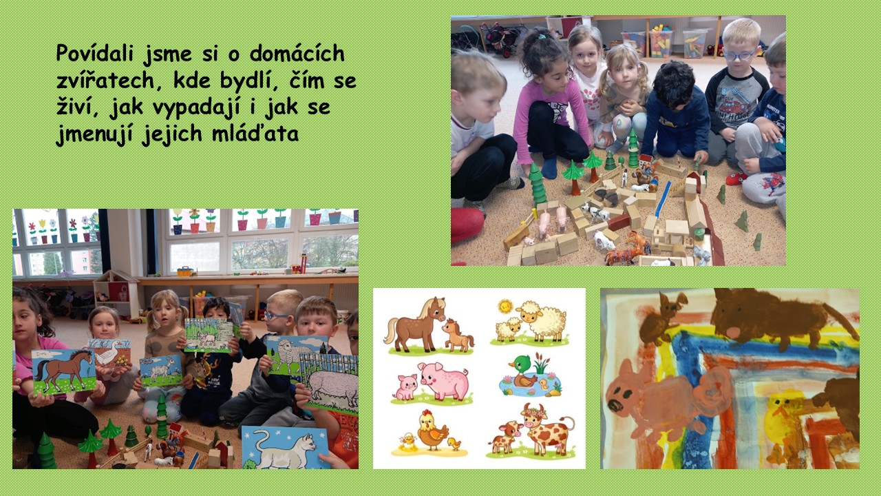 Snímek11