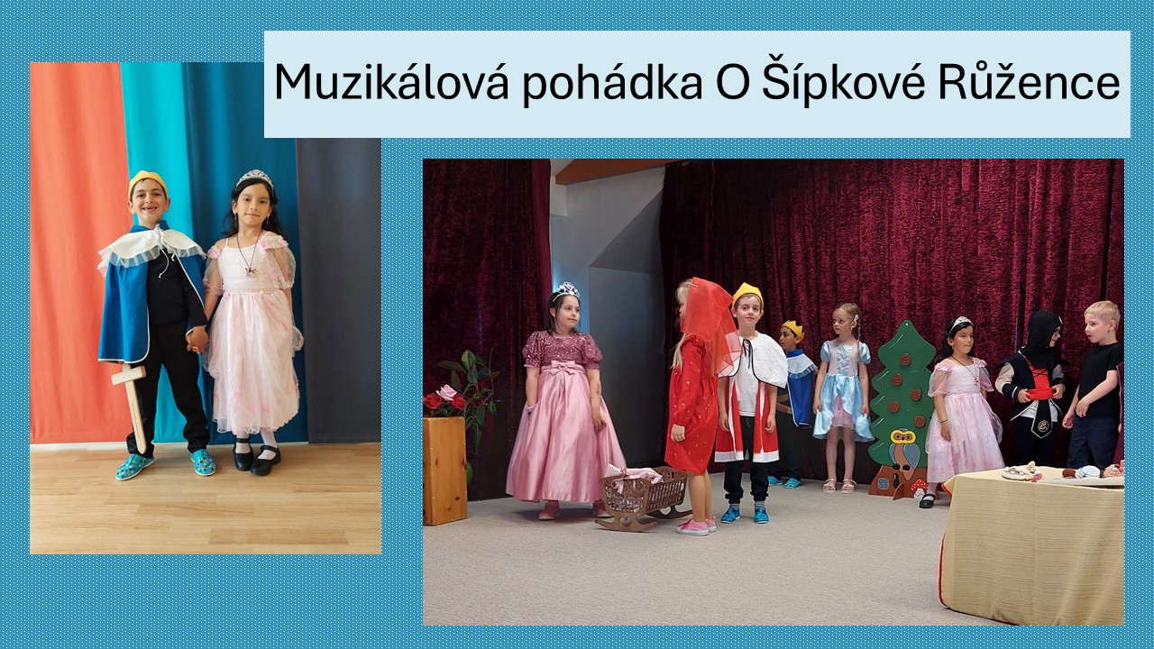Snímek6