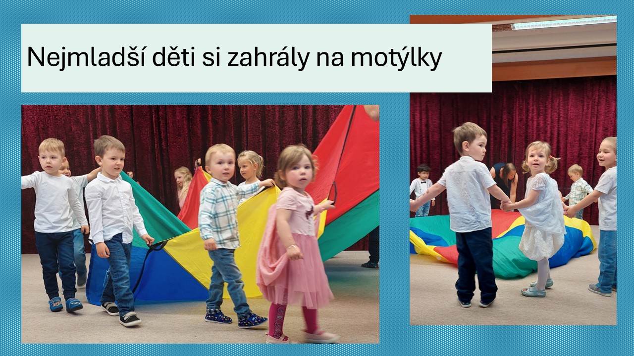 Snímek9