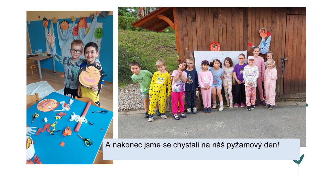 Snímek13