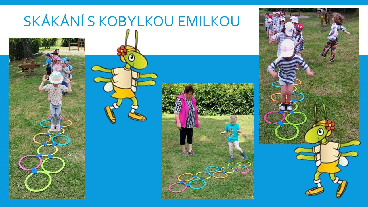 Snímek16