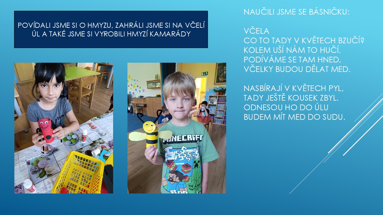 Snímek6