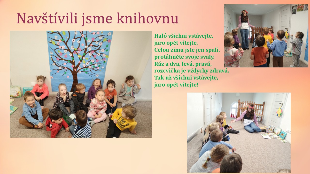 Snímek6