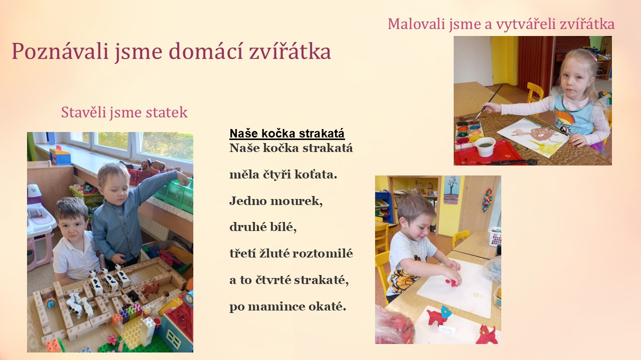 Snímek7