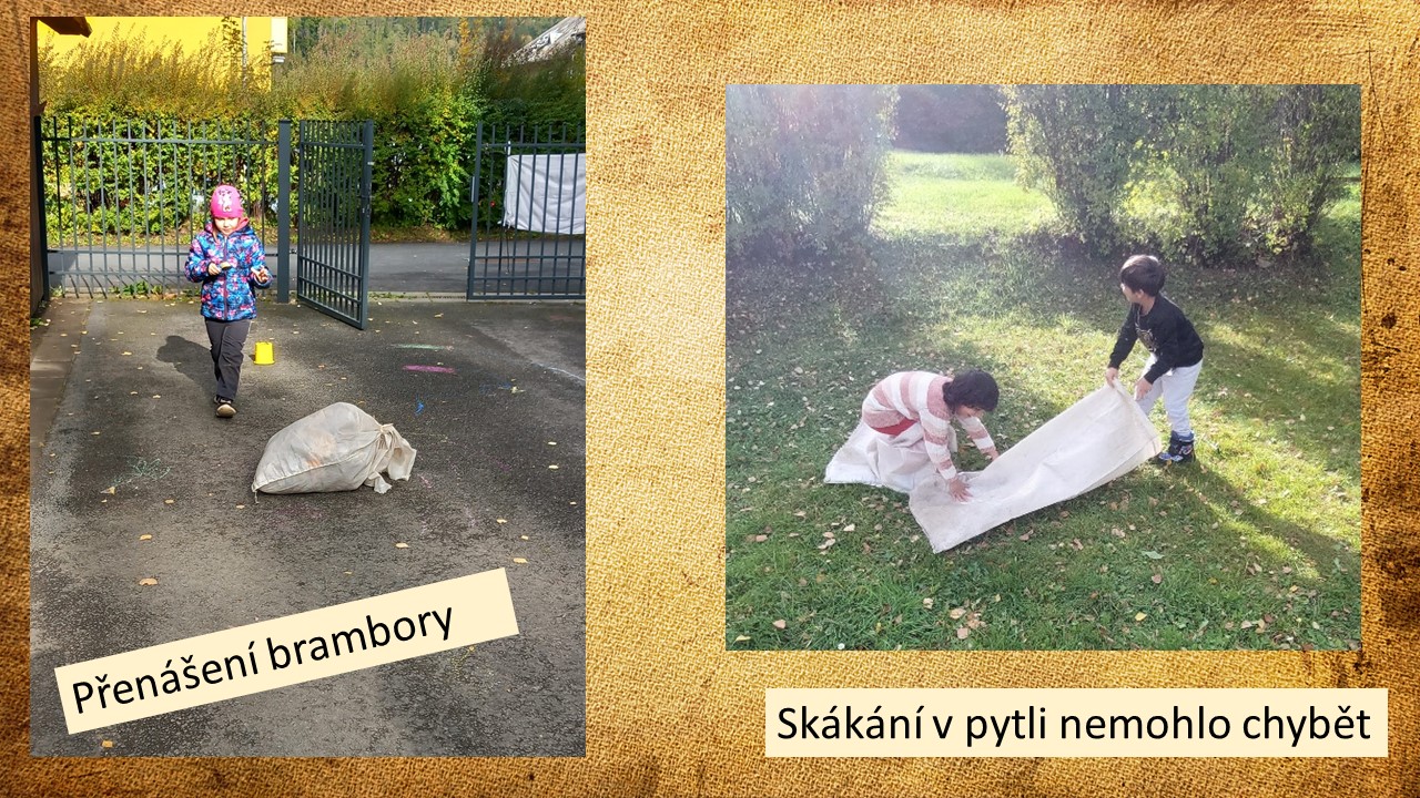 Snímek7
