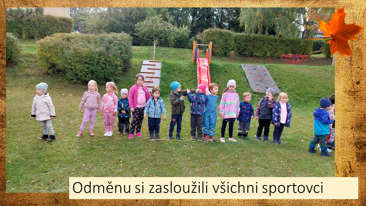 Snímek13
