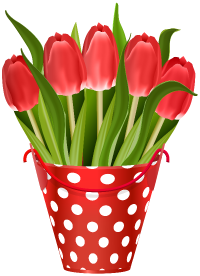 tulips_in_bucket_transparent_image.png